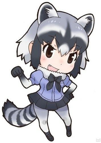 アライグマ