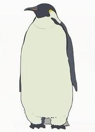 ペンギン