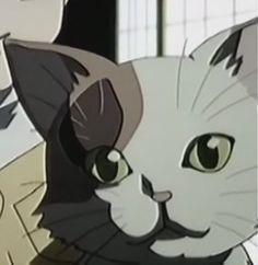 シャミセン