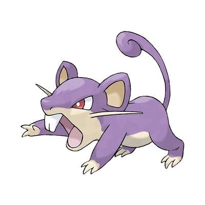 コラッタ