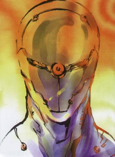 Gray Fox