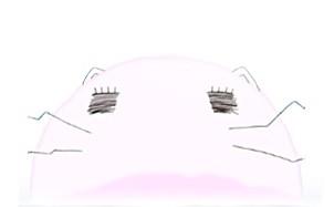 ももねこ様