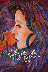 洋子的困惑 封面