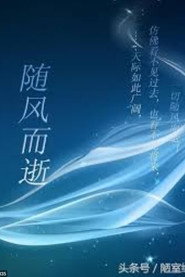 随风而逝 封面