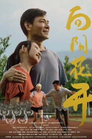 向阳花开 封面