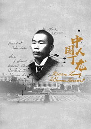 中国人丁龙 封面