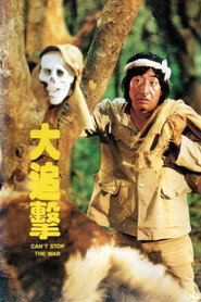 大追擊 封面