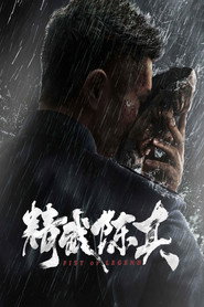 精武陈真 封面