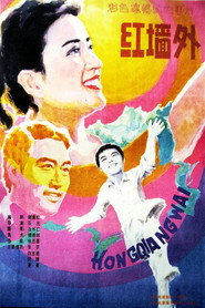 红墙外 封面