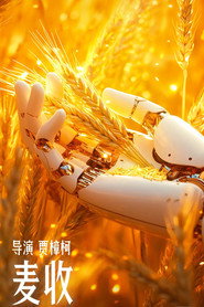 麦收 封面