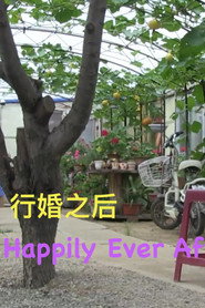 形婚之后 封面