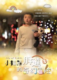 小貓熊胖達的奇幻冒險 封面