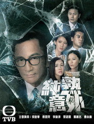 纯熟意外 封面