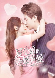 夏小姐的先婚后爱 封面