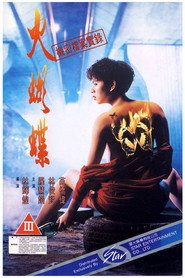 机密档案实录火蝴蝶 封面