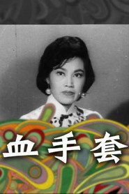 血手套 封面