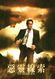 柳条人 封面