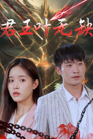 君王叶无缺 封面