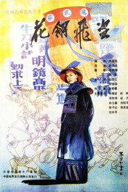 花翎飞盗 封面