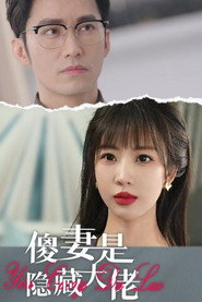 傻妻是隐藏大佬 封面