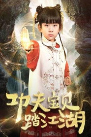功夫宝贝踏江湖 封面