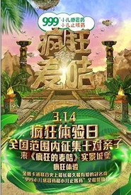 疯狂的麦咭 封面