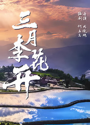 三月李花开 封面