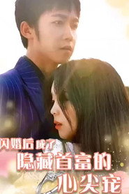 闪婚后成了隐藏首富的心尖宠 封面