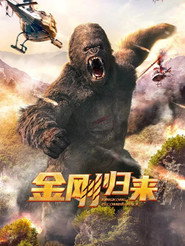 金刚归来 封面