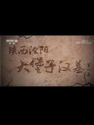陕西泾阳大堡子汉墓 封面