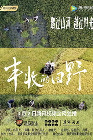 丰收的田野 封面