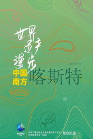 世界遗产漫步·中国南方喀斯特 封面