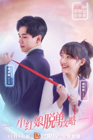 小红娘脱单攻略 封面