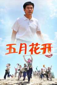 沙漠情深之五月花开 封面