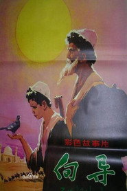 向导 封面