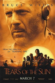 太阳泪 封面