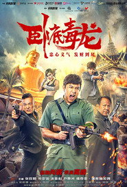 臥底毒龍 封面