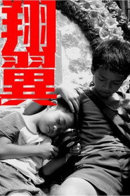 翔翼 封面