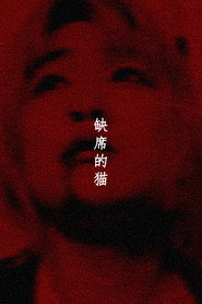 缺席的猫 封面