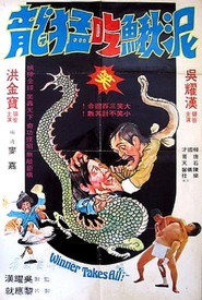 面懵心精 封面