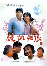 酸辣姻缘 封面