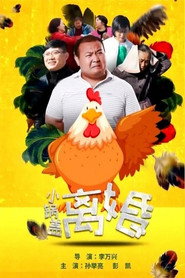 小锅盖离婚 封面