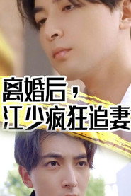 离婚后江少疯狂追妻 封面