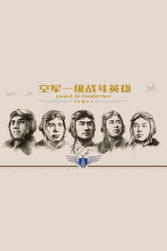 空军一级战斗英雄 封面