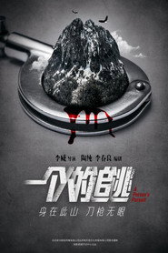 一个人的追逃 封面