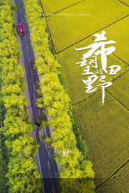 希望的田野 封面