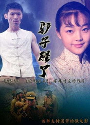 驴子醒了 封面