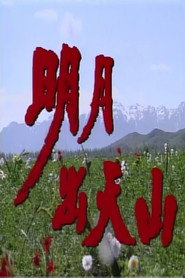 明月出天山 封面