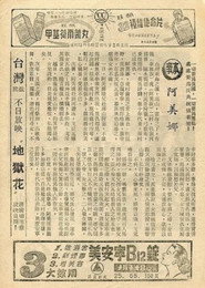 阿美娜 封面