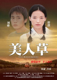 美人草 封面